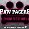 Paw Pacers