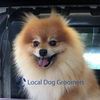 Local Dog Groomers