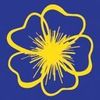 Buttercups Childcare