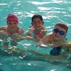 Little Fins Swim School