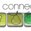 Fresh Connection