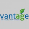 Vantage NSW