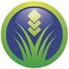 Prestige Synthetic Lawns