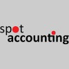 Spot Accounting