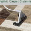 Organic Carpet Cleaning