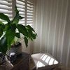 Central Coast Curtains & Blinds