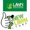 New Lawn Turf