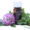 Renew You Wellness Centre