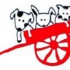 Kent Street Veterinary Clinic