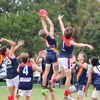 Aspendale Trophies
