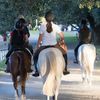 AA AMC Equestrian Services