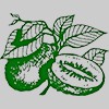 Daleys Fruit Tree Nursery