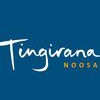 Tingirana Noosa