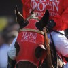 Triple Crown Bloodstock