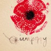 Iampoppy