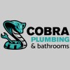 Cobra Maintenance Services