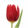 Brian Walsh Funerals