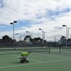 Tennis Dynamics