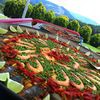 Senor Paella