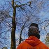 Tree FX Quality Tree Management