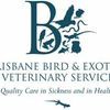 Brisbane Bird & Exotics Veterinary Service
