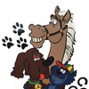 Jacobs Well Vet Surgery