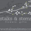Stalks & Stems