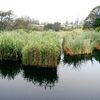 Harris Environmental Consulting