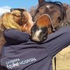 Canberra Equine Hospital
