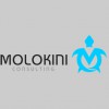 Molokini Consulting