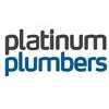 Platinum Pipe Relining