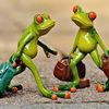 Frogs-Hollow Backpackers & Lodge