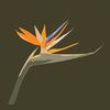 Grow Lush Landscape Supplies