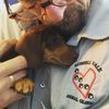 Russell Vale Animal Clinic