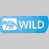 Wild Environmental Consultants