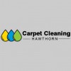 Carpet Cleaning In Hawthorn