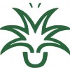 Green Design Indoor Plant Hire