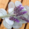 Lavandula Aromatherapy Massage