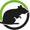 AM Pest Solutions
