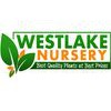 Westlake Nursery