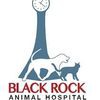 Black Rock Animal Hospital