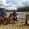 Ultimate Pet Care Sunshine Coast
