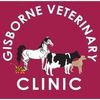 Gisborne Veterinary Clinic