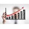 Web Profit Maximiser