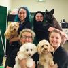 Scooby & Friends Dog Grooming