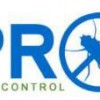 Pro Pest Control