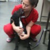 Perth Vet Emergency