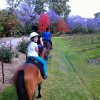 Port Macquarie Horse Riding Centre
