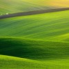 North Qld Psychology Services