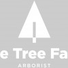 The Tree Fairy Arborist